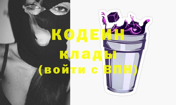 прущие грибы Бронницы