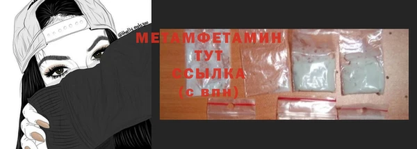 прущие грибы Бронницы