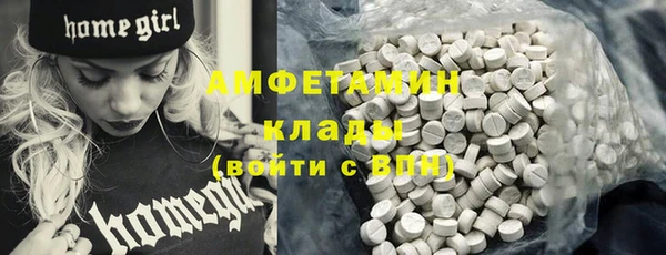 трава Бородино