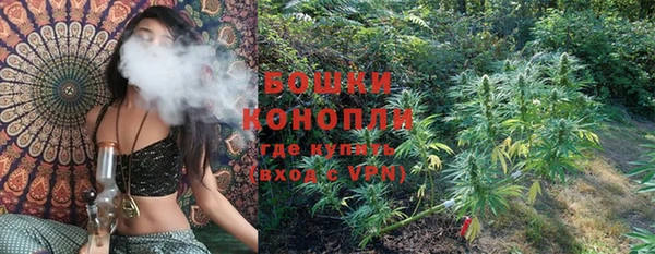 прущие грибы Бронницы