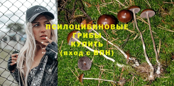 трава Бородино